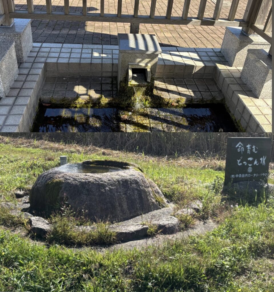 胎内市【どっこん水】