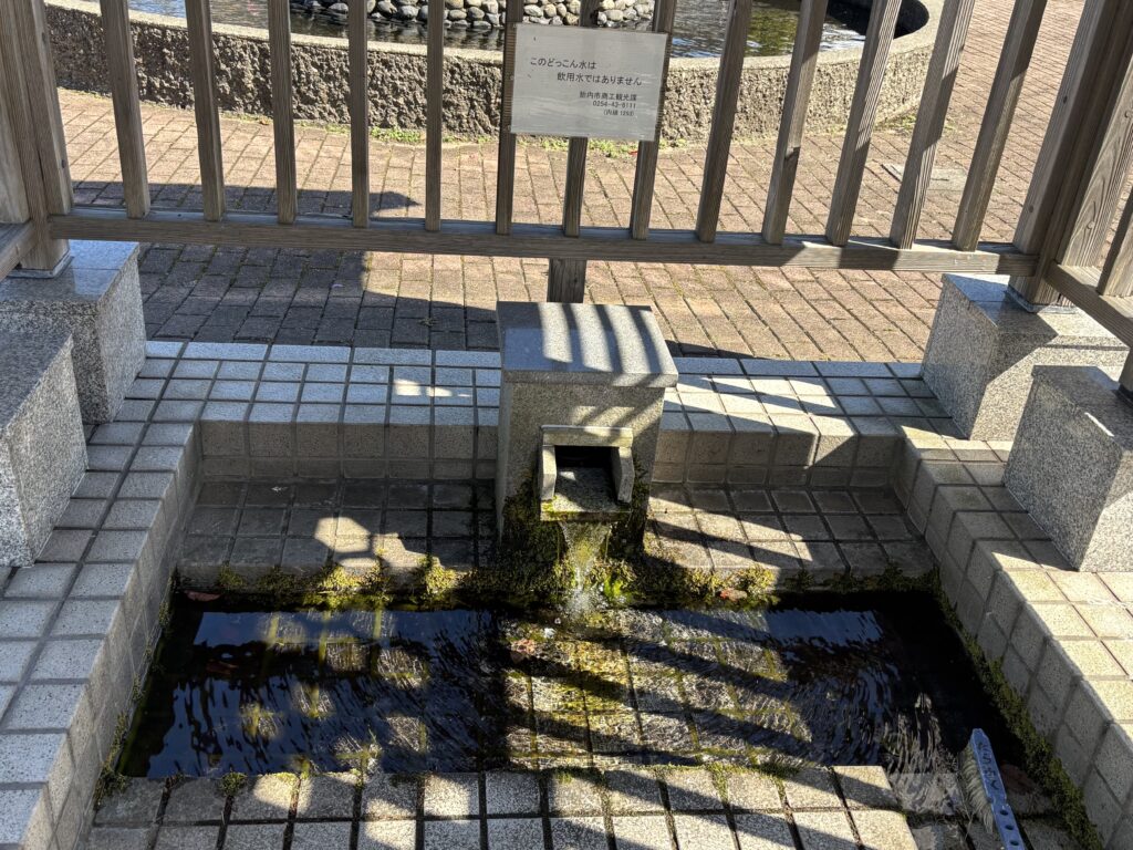 どっこん水1
