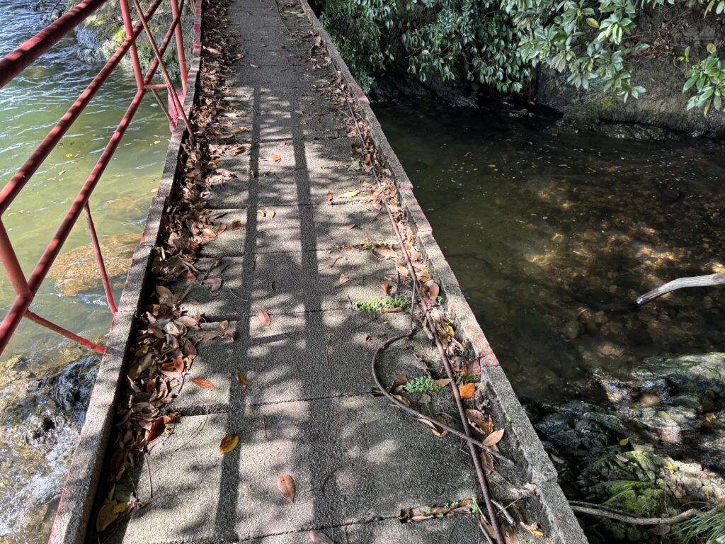 参拝路2