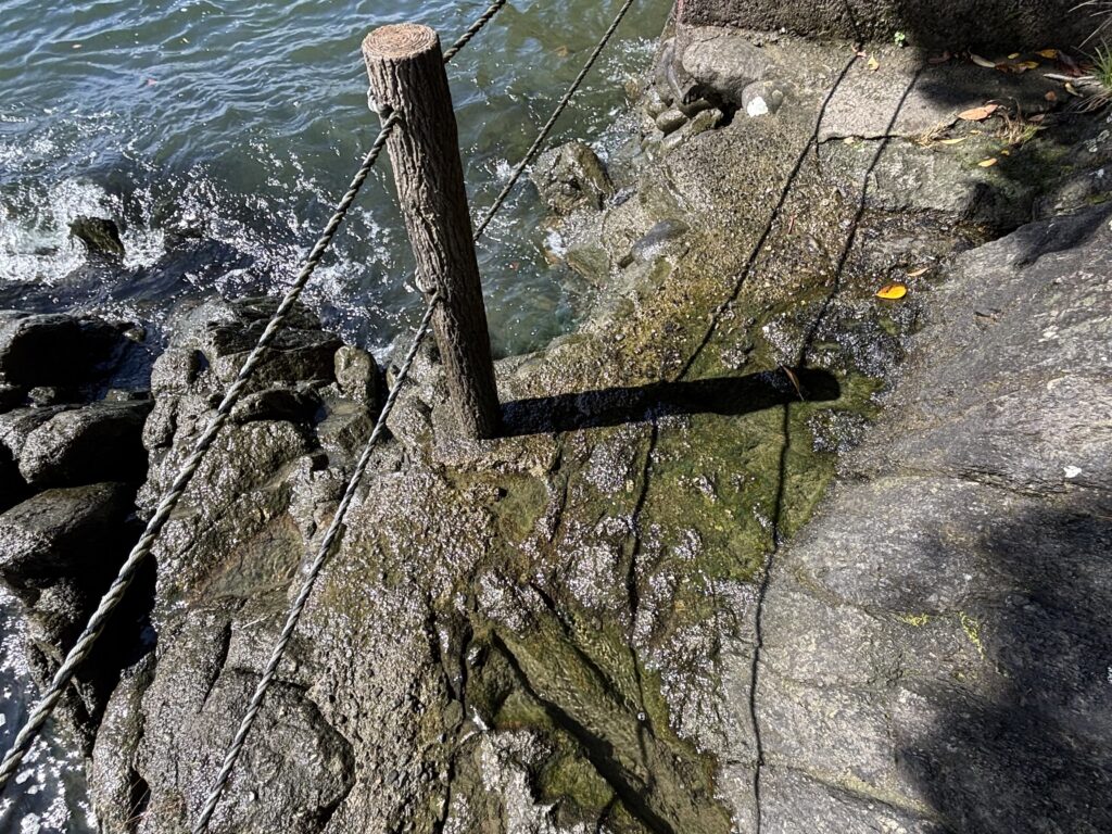 水が溜まっている参拝路